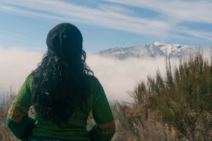 financial legacy flower mound tx