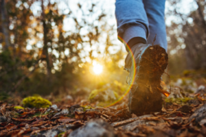 trump accounts flower mound tx